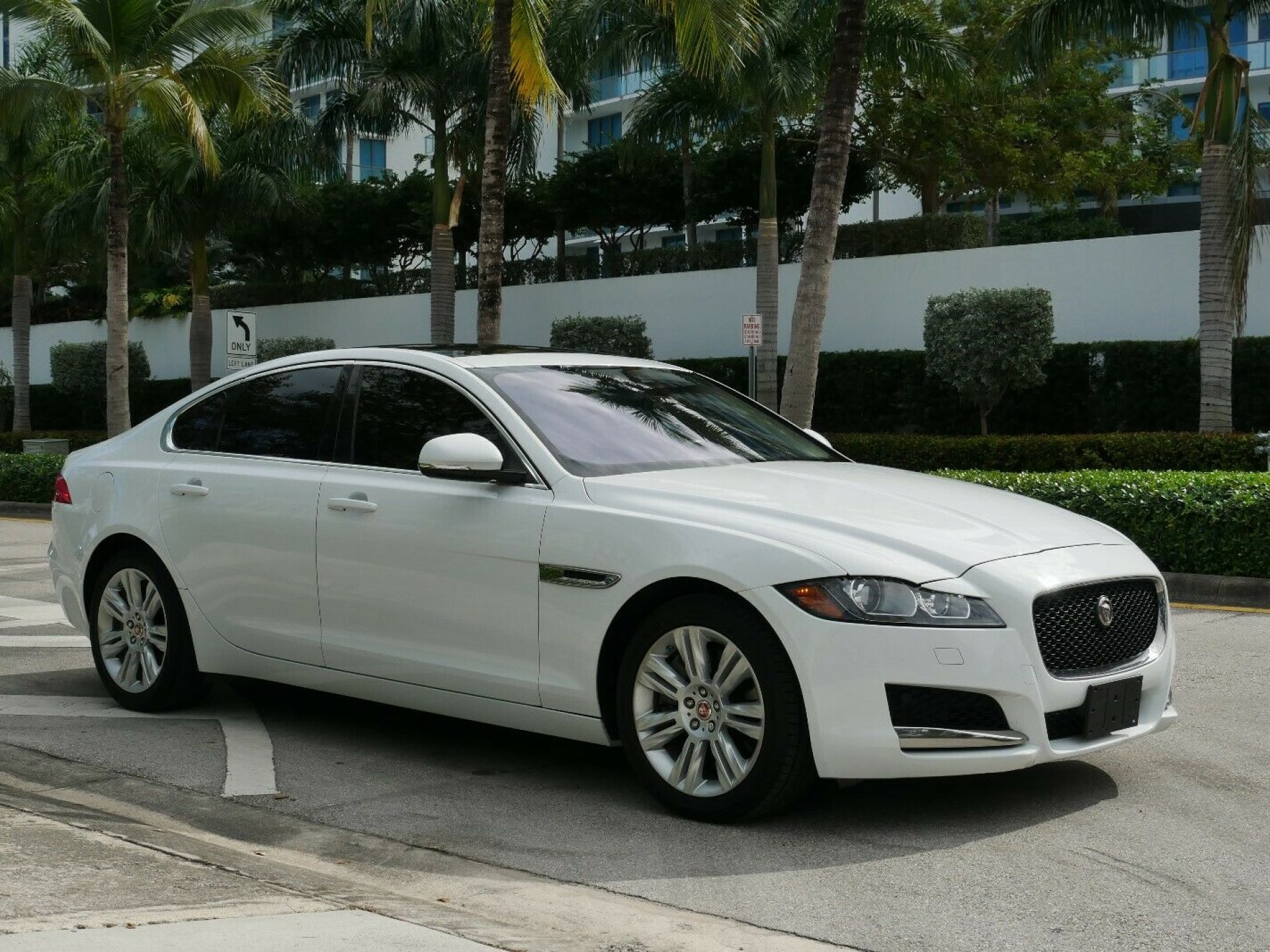 Jaguar xf 2017 белый