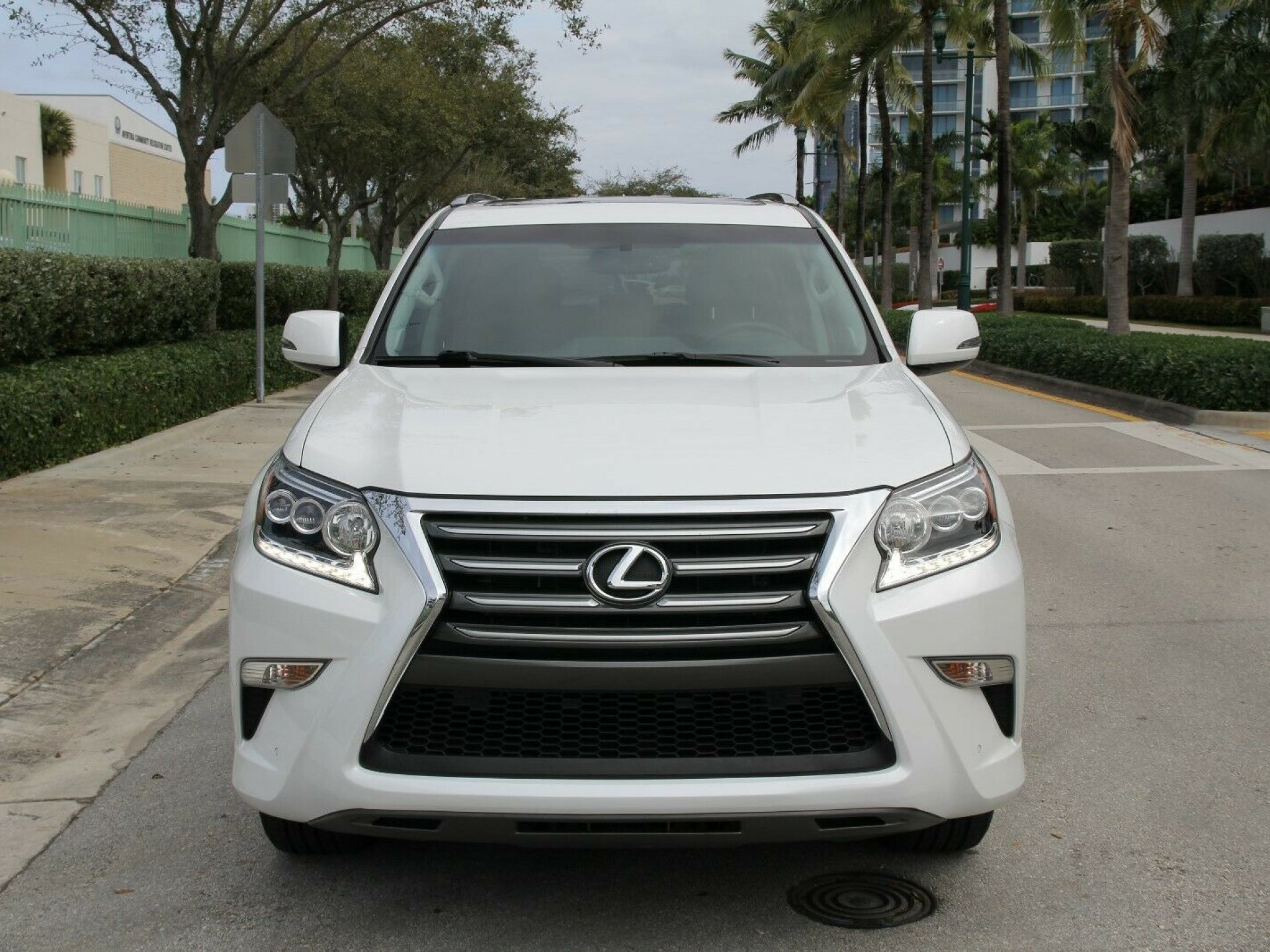 Lexus gx 560