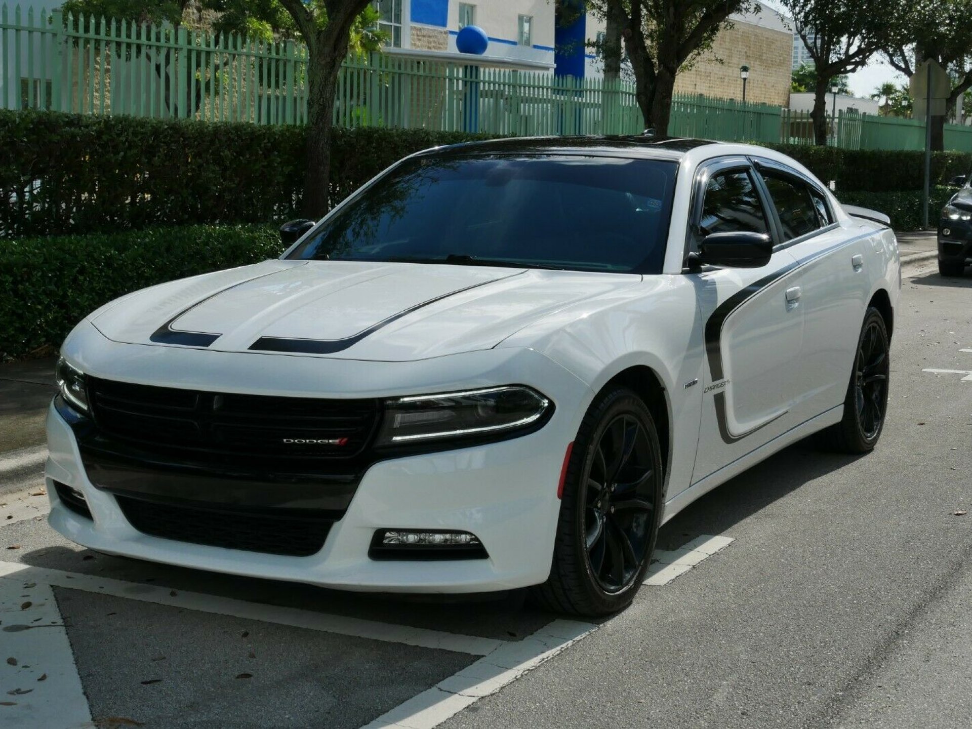 Dodge charger buy