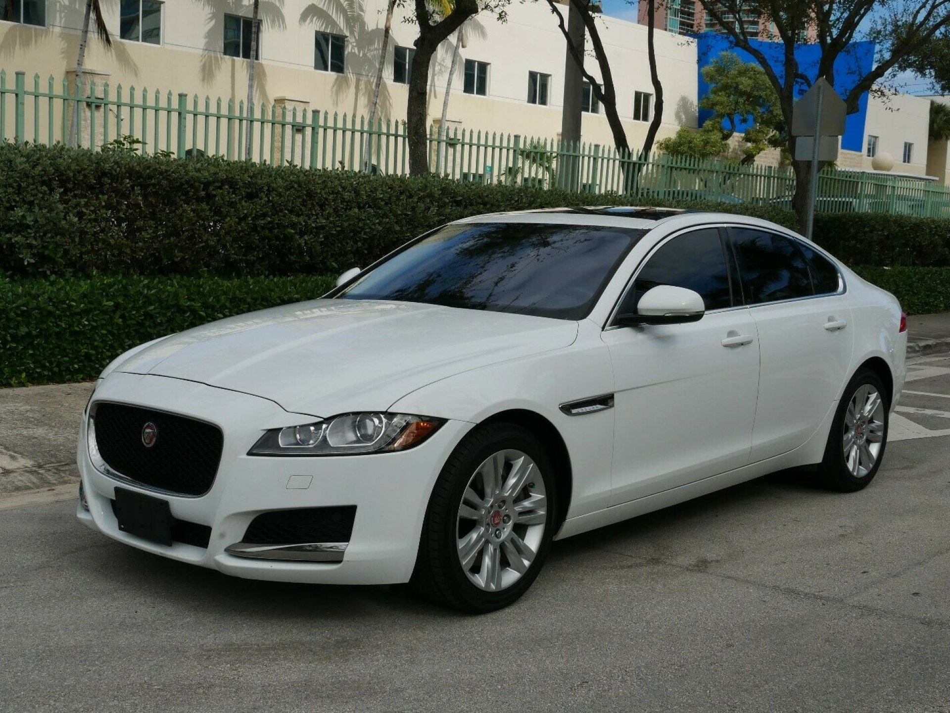 Jaguar xf 2017 белый