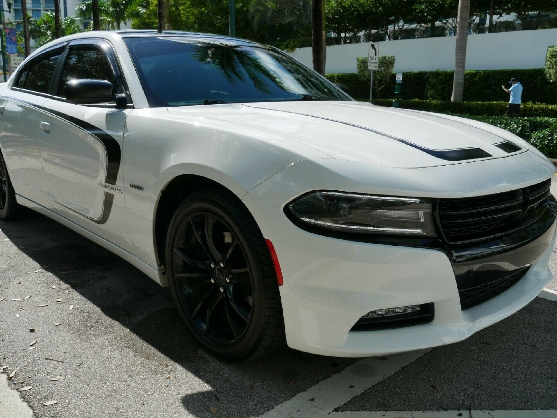 Dodge charger buy