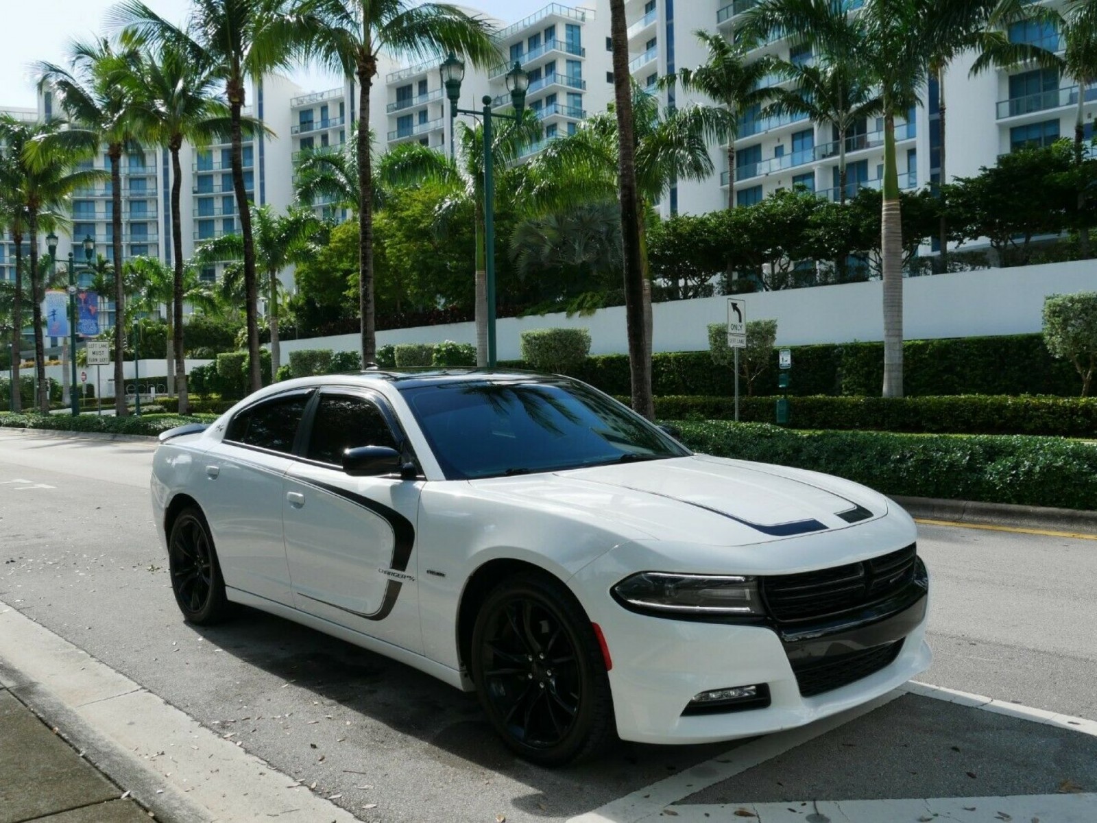 Dodge charger buy