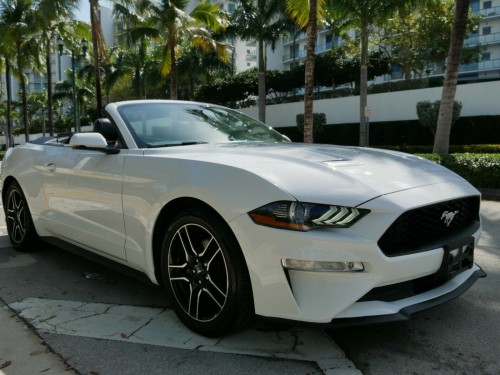 FAST, BRASSY, STYLISH — THE NEW FORD MUSTANG 2020